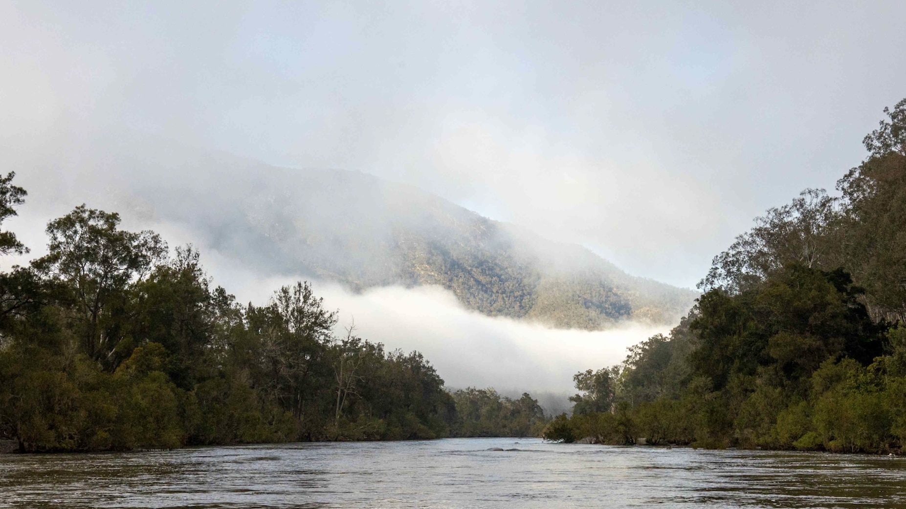 An image of the Macleay River with green hills and low-hanging clouds in the distance.