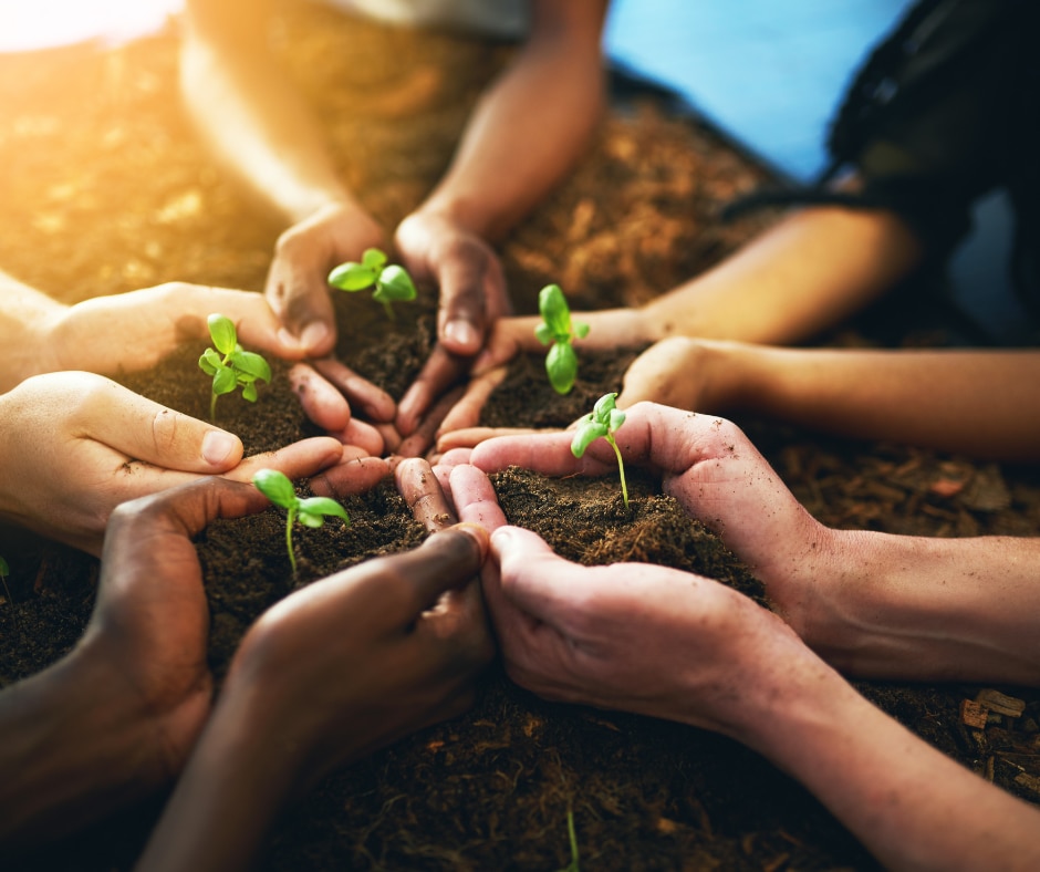 A close up of five people's cupped hands filled with soil and a single growing plant.