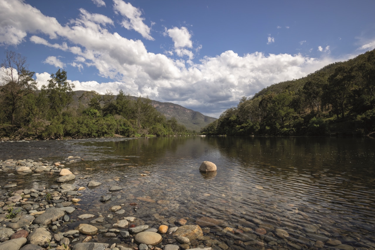 Macleay River view